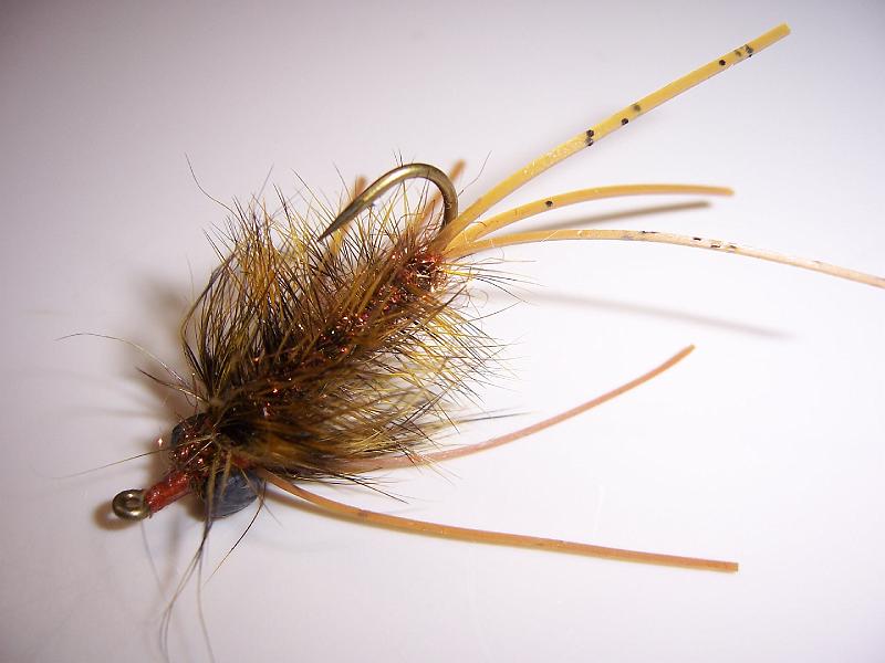 10-12 carp teasers 002.jpg